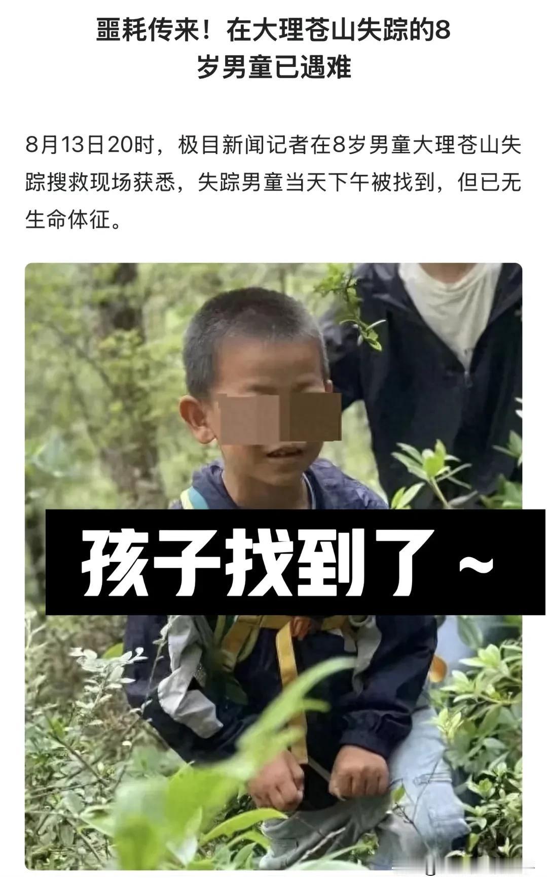 大理走丢的自闭症男孩找到了！

但是很可惜，已经没有生命体征，这几天苍山都在下雨