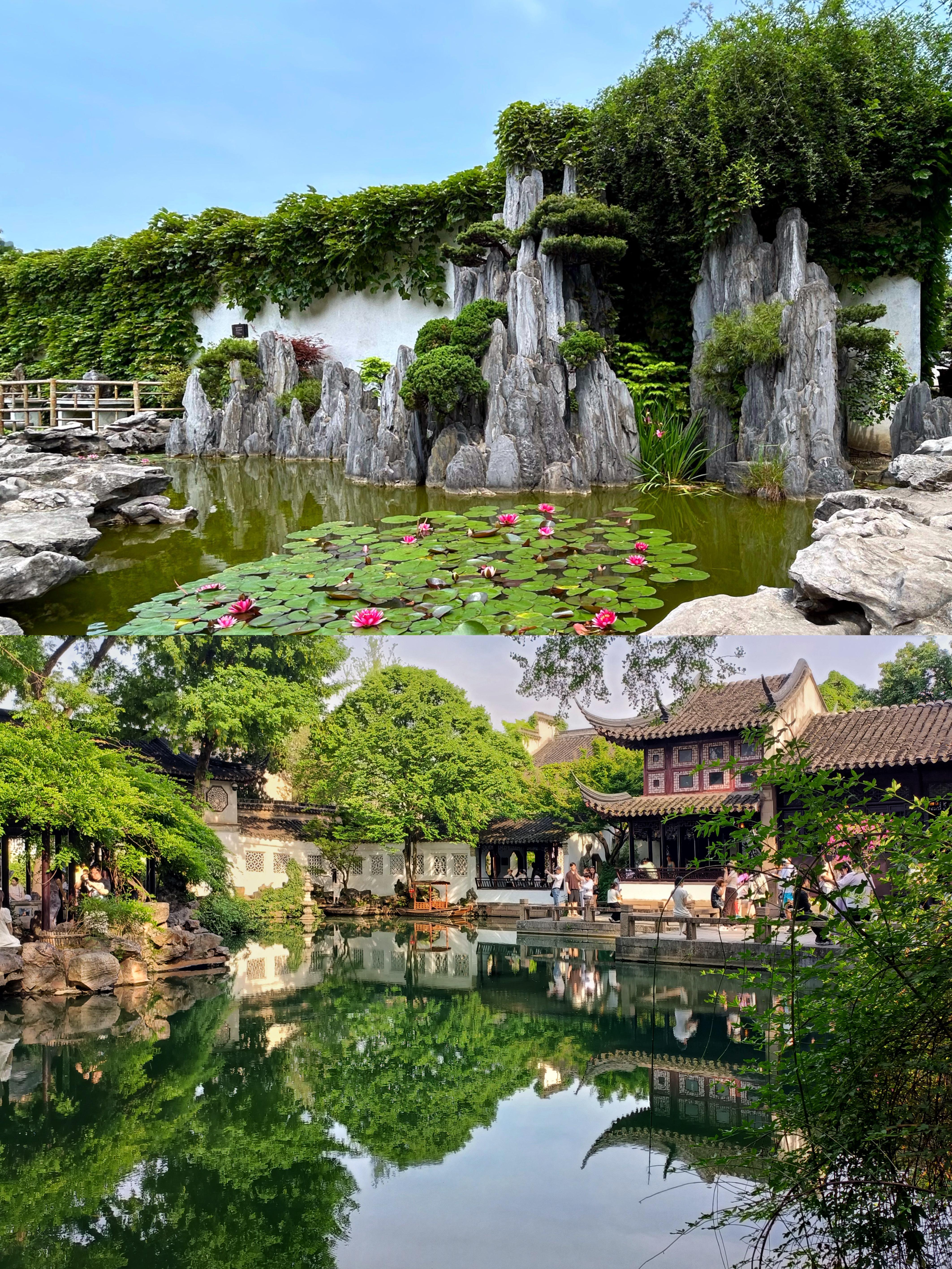 夏游留园，体验苏式清凉，玩转古风江南园林。踏入夏末的留园，仿佛步入一幅流动的历史