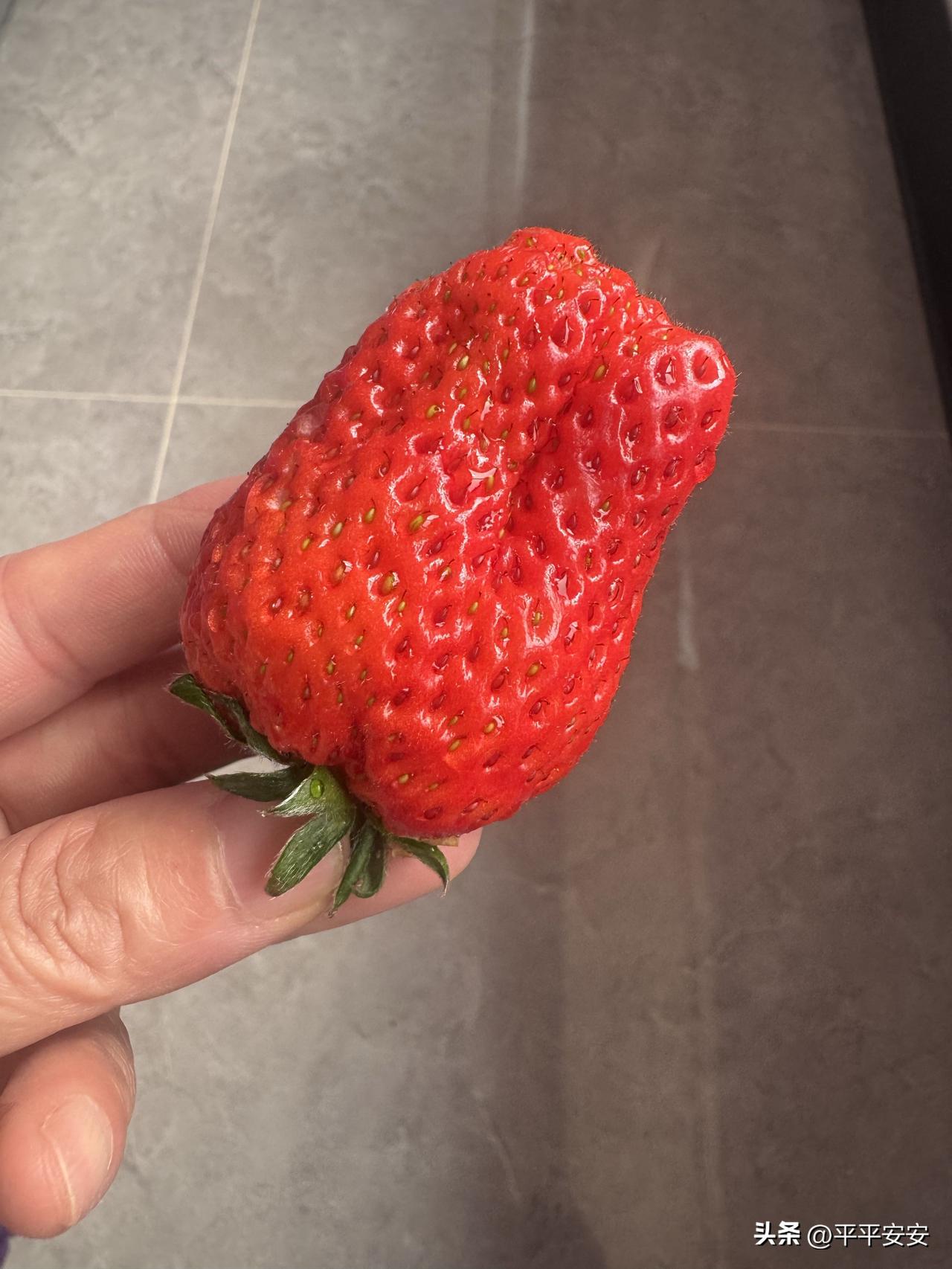 什么是处世的最高境界?处世的最高境界

处世的最高境界，从不是八面玲珑、左右逢源