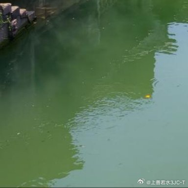 每日一善 日积一善，久则必为江河之水；日积一恶，久则必为星星之野之火。 在他人之