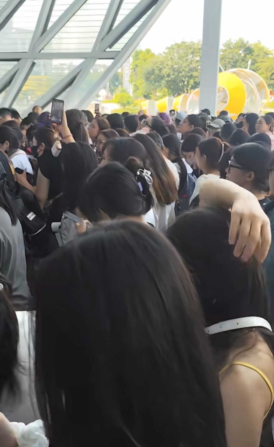 理解王鹤棣的品牌活动为什么总是怕人太多了，这是真的一眼望不到头 