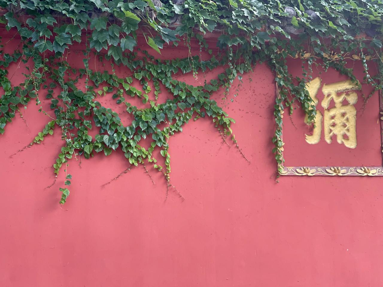 特别的日子，开启特别人生，新旅途，新征程，