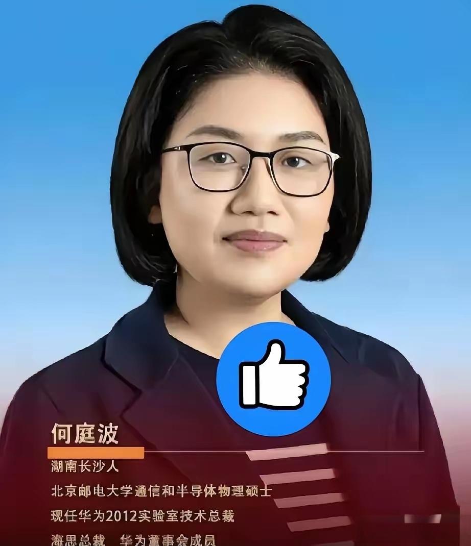 真正帮华为扛住芯片绝境、硬生生打破国外技术封锁的核心人物，不是大众熟知的台前人物