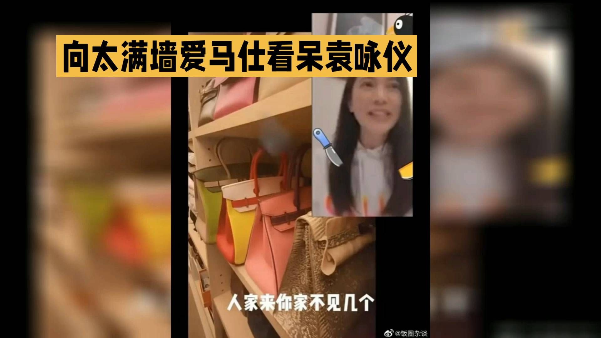 向太连线袁咏仪，满墙爱马仕曝光，连资深藏家靓靓都看傻眼