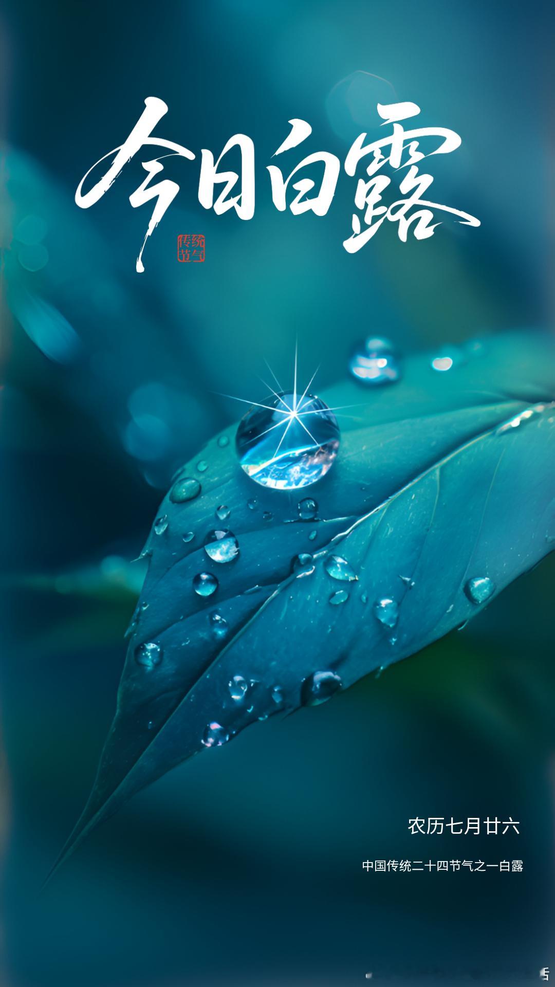 白露 ​​​