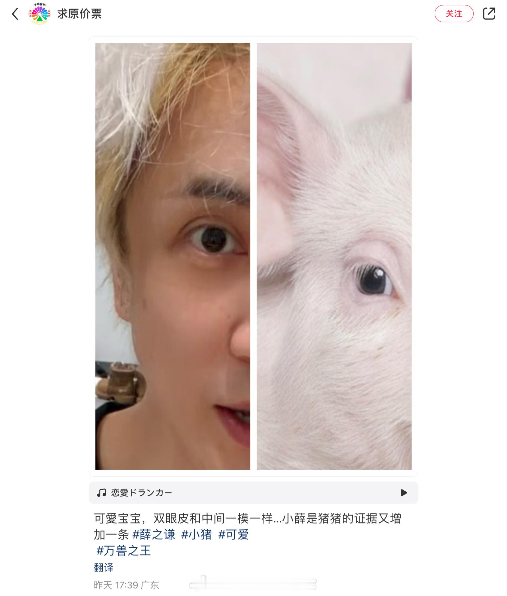 哈哈哈求你们了 