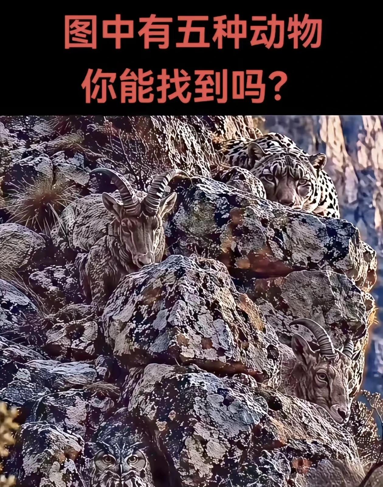 求网友指点江山[作揖]