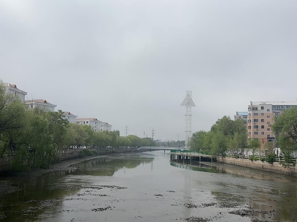 临河而居挺安宁，
从容不迫度人生。
春看流水冬看雪，
夏柳秋风任西东。