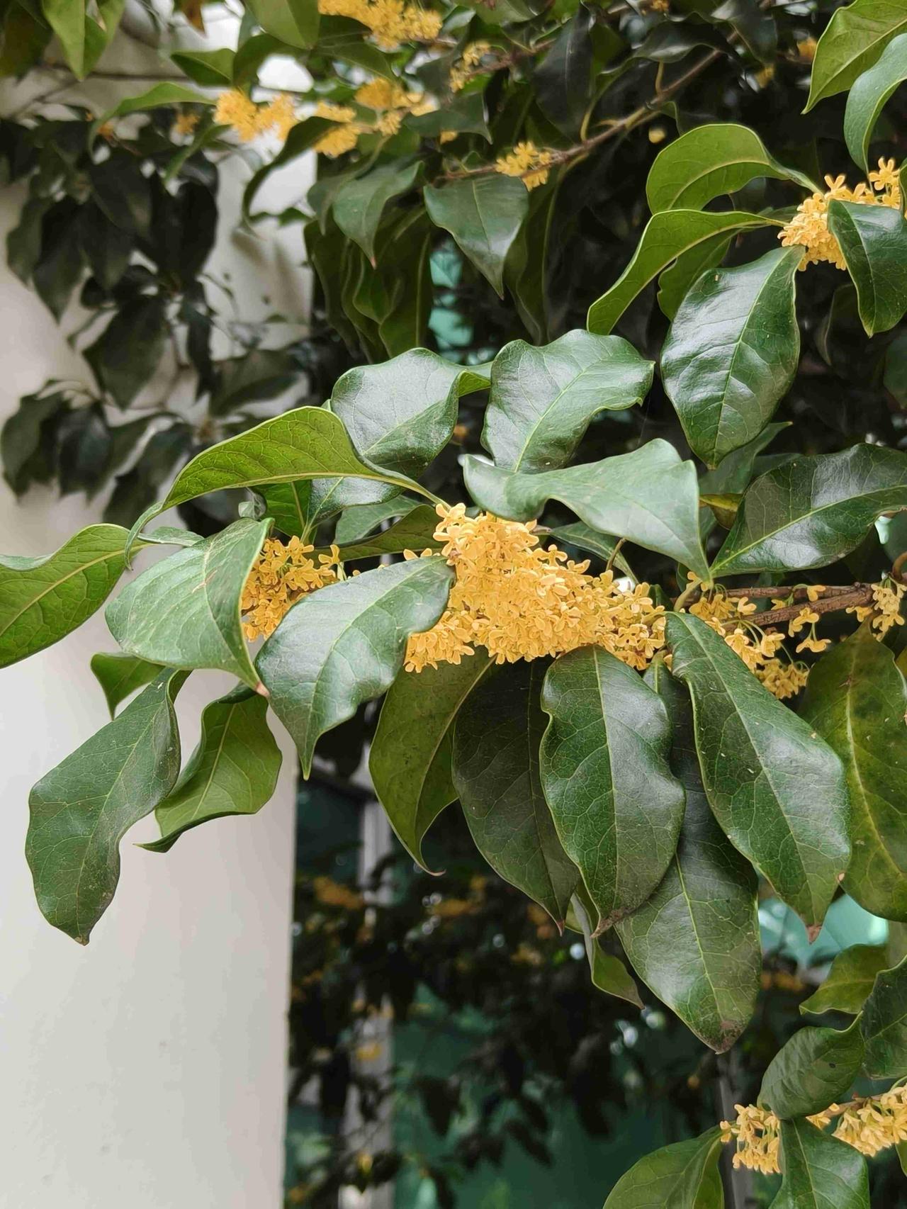 我的今日状态：😁轻松愉快
我这里的天气：☁️阴天