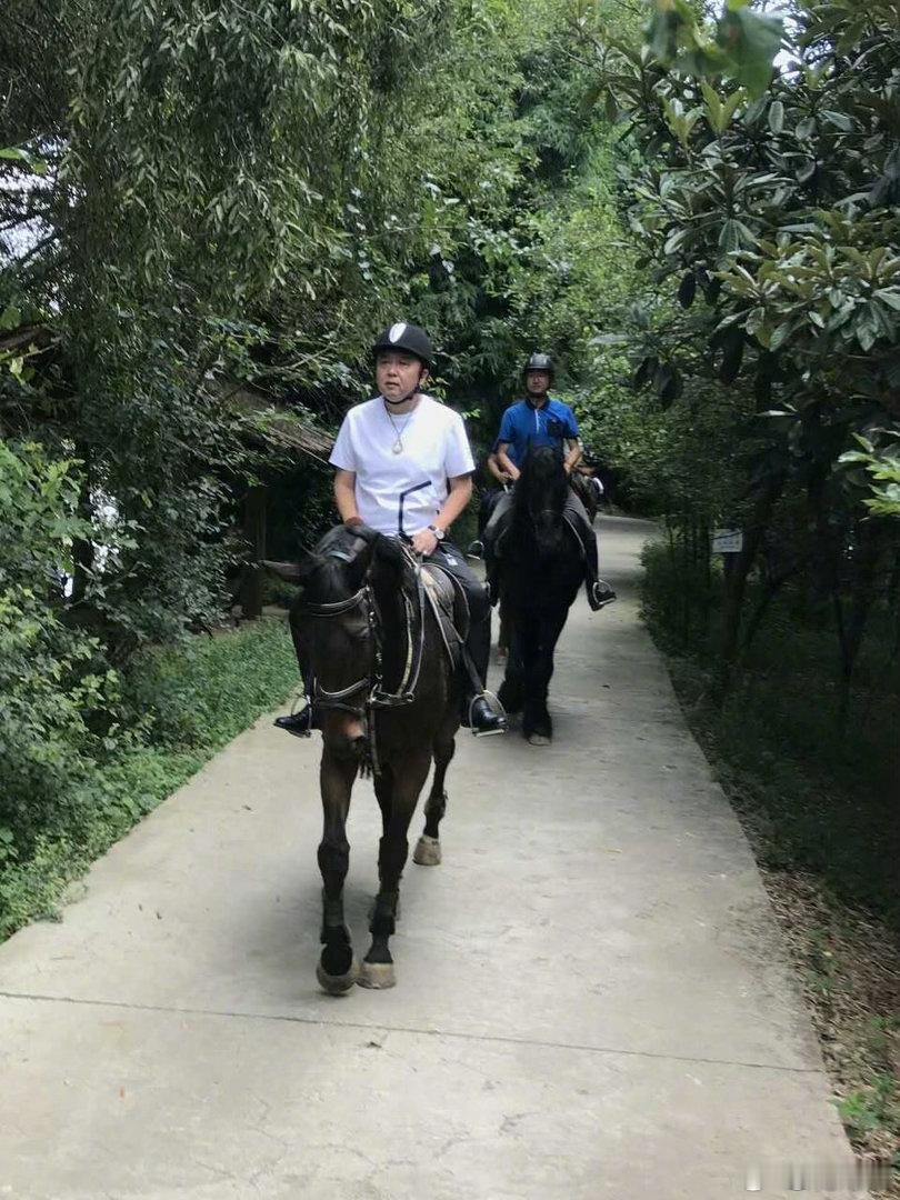 谁懂捧哏大爷跳宅舞的含金量当赛马爹遇上二次元马娘 从相声贯口到宅舞舞步，从现实马