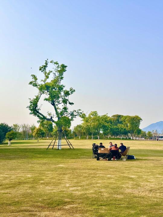 记住晋江这个公园！！去了会哇出声🥹🥹
