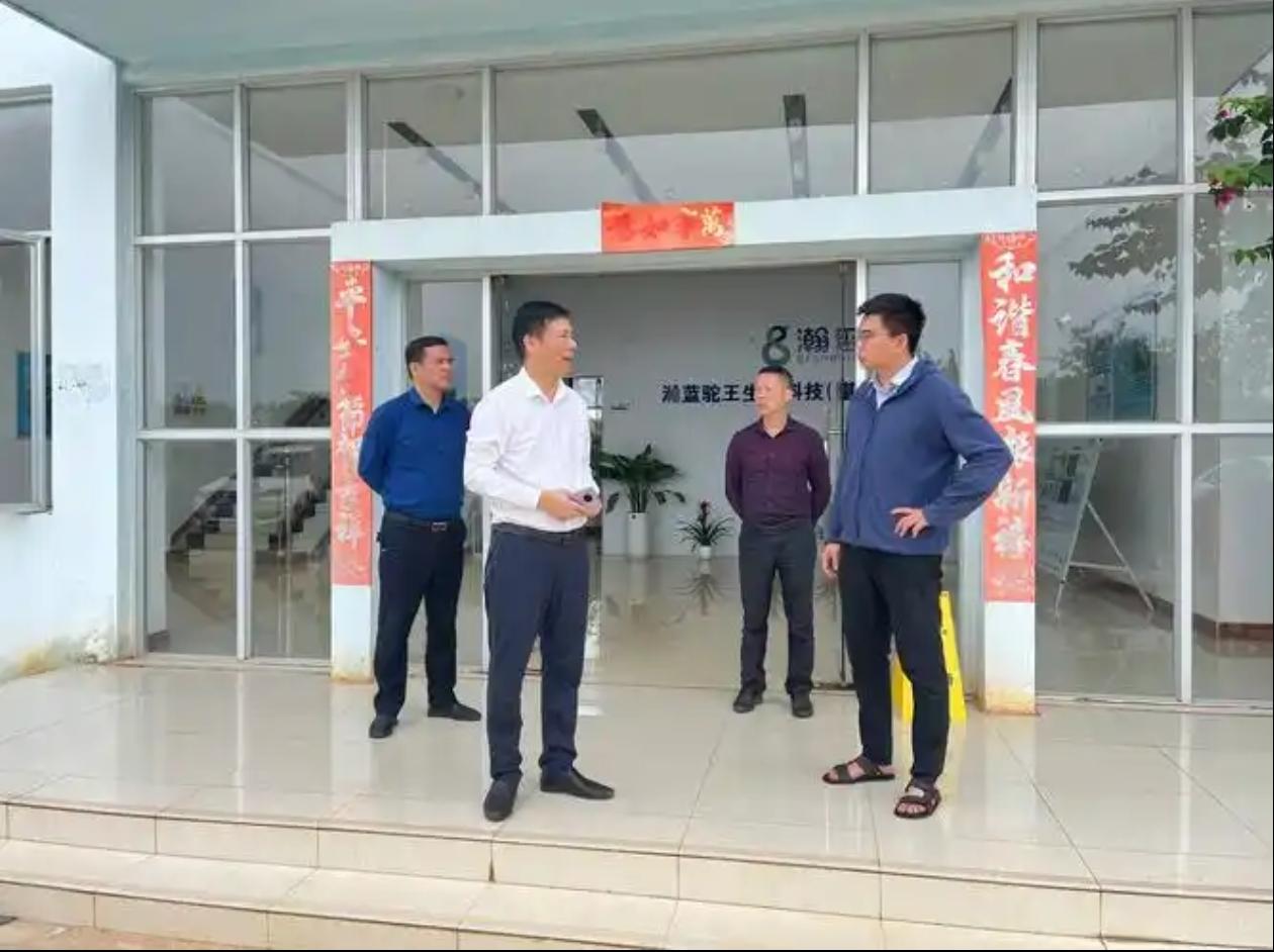 有个镇里的书记和镇长近日一块调整了，书记去了一个小局干了局长，镇长去了一个局干了