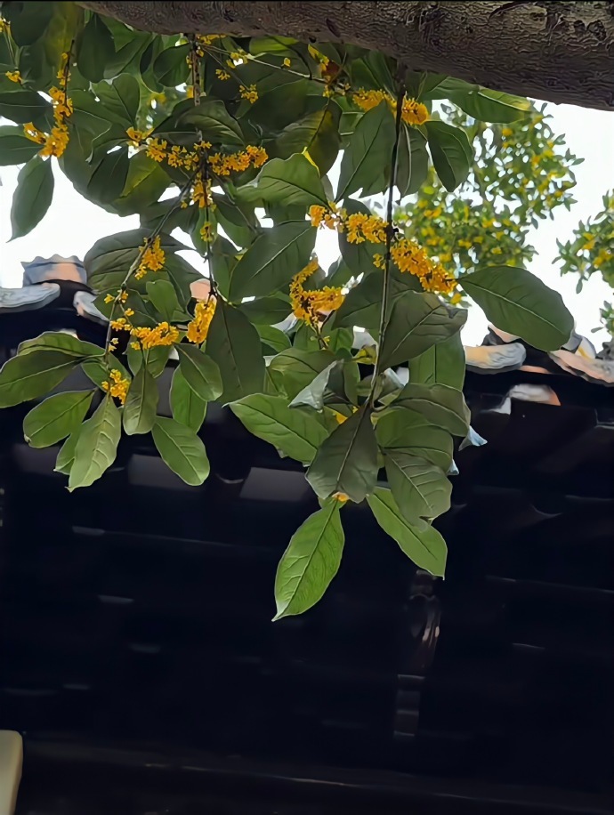 良心这个东西,它不值钱,但是能积德 ​​​