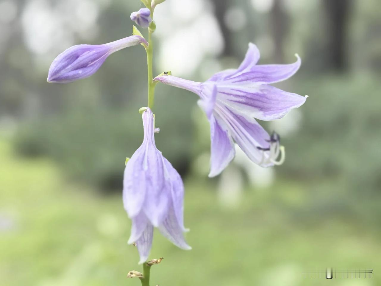 延庆区德蕴清风廉洁文化公园