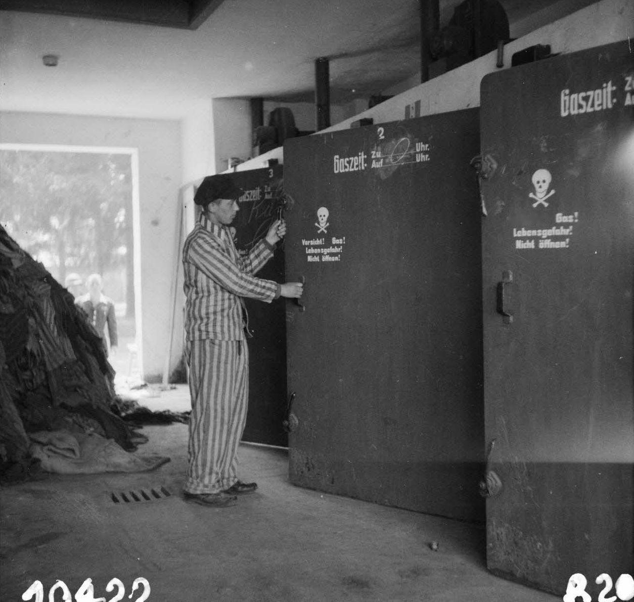 虽然大门上有骷髅的标识，不过这个的确不是毒气室——1945 年 5 月，达豪集中