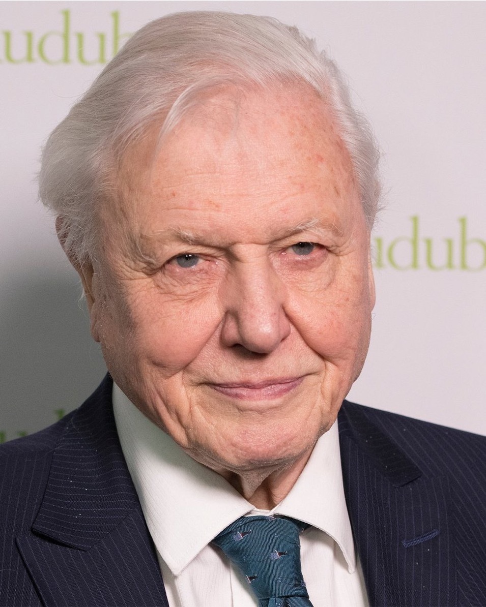 David Attenborough（大卫·阿滕伯勒）这位英国国宝级人物今天迎来