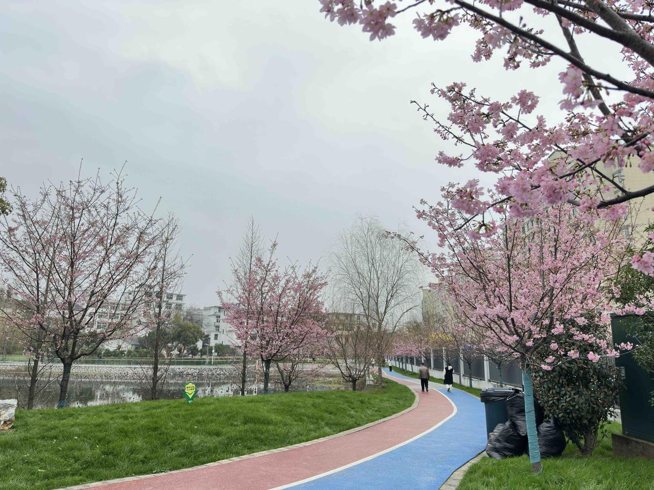 正月十六，中午带着老妈出行打车，滴滴打车App上一打开，秒点秒接单。
看车费：¥