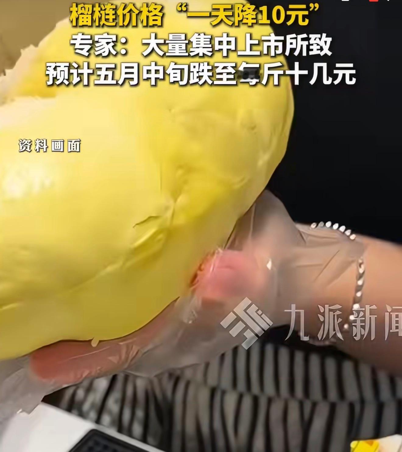 金枕榴莲价格打下来了，二三十一斤，其实就是往年旺季的正常价，只不过大家需要注意，