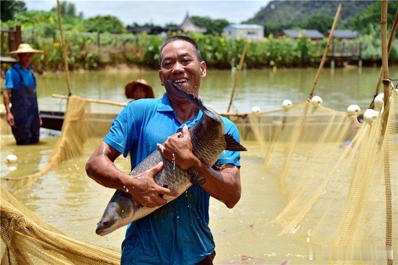 岭南的新春，拥有丰富多彩的民俗：办年货、行花街、买年花、扫屋、谢灶、做年糕与煎堆