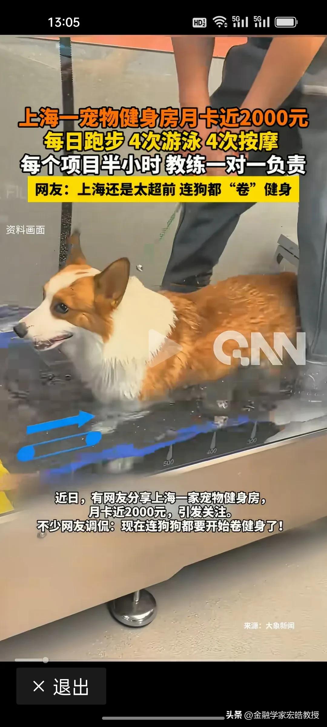 看下图，很多人想不通了，上海宠物健身房月卡1980元，韩国宠物车销量是婴儿车的1