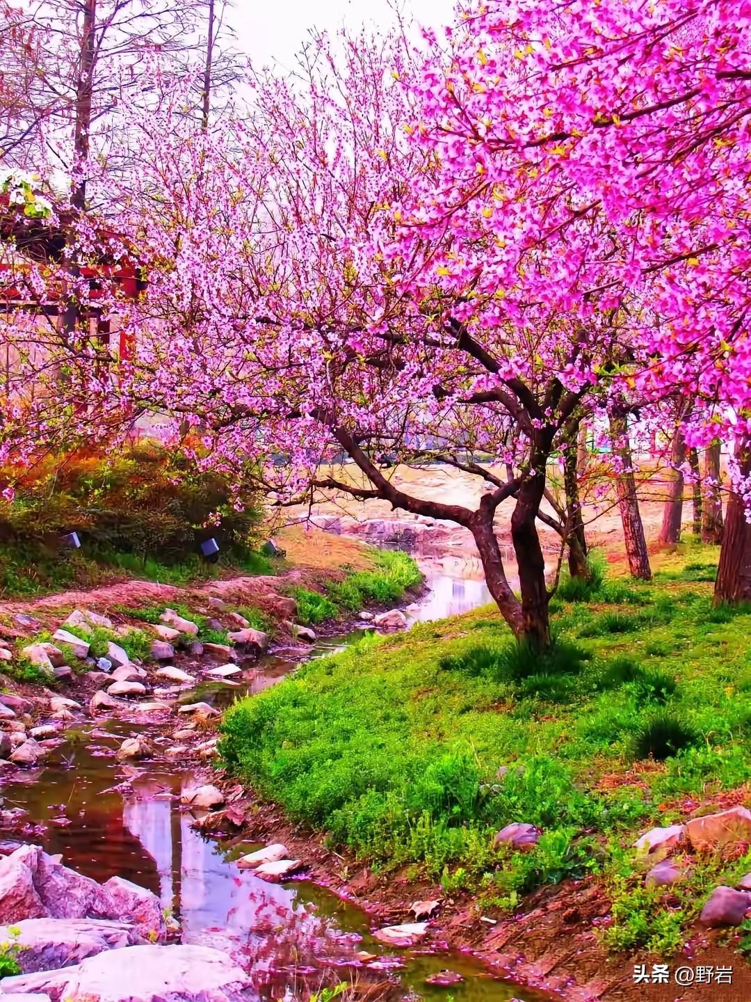 婚姻里最可怕的，不是没钱，而是无话可说

一、无话可说，才是婚姻的绝症
 
- 