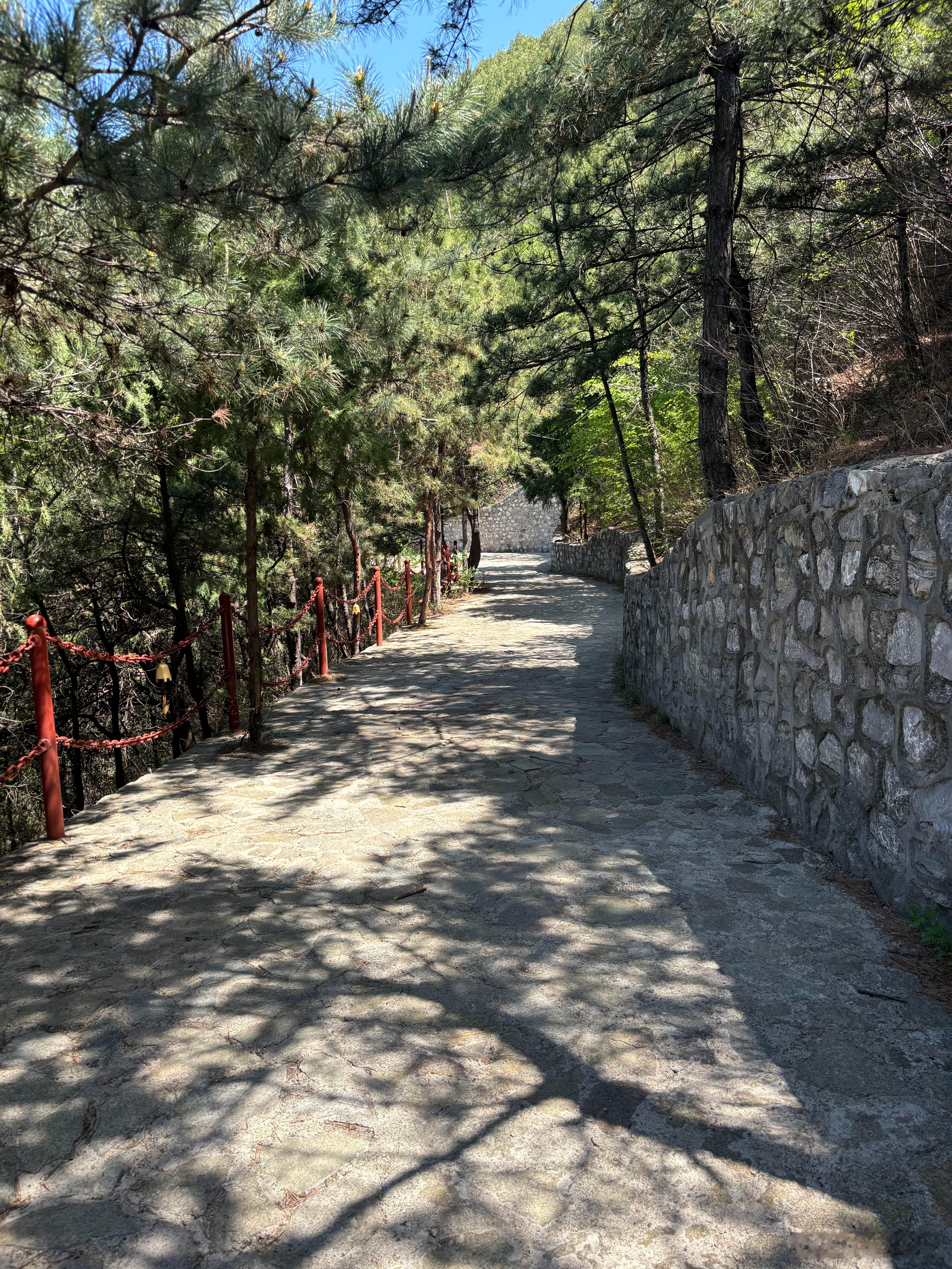 辰龙月去卧龙山，爬山运动，和上香祈福。这里树木很多，有风吹凉快。上山锻炼心肺、腿