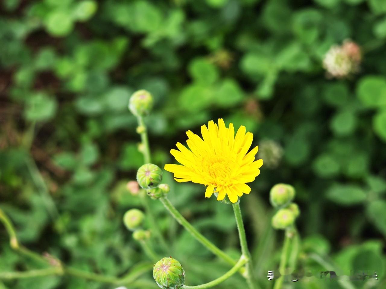 夏日生活打卡季