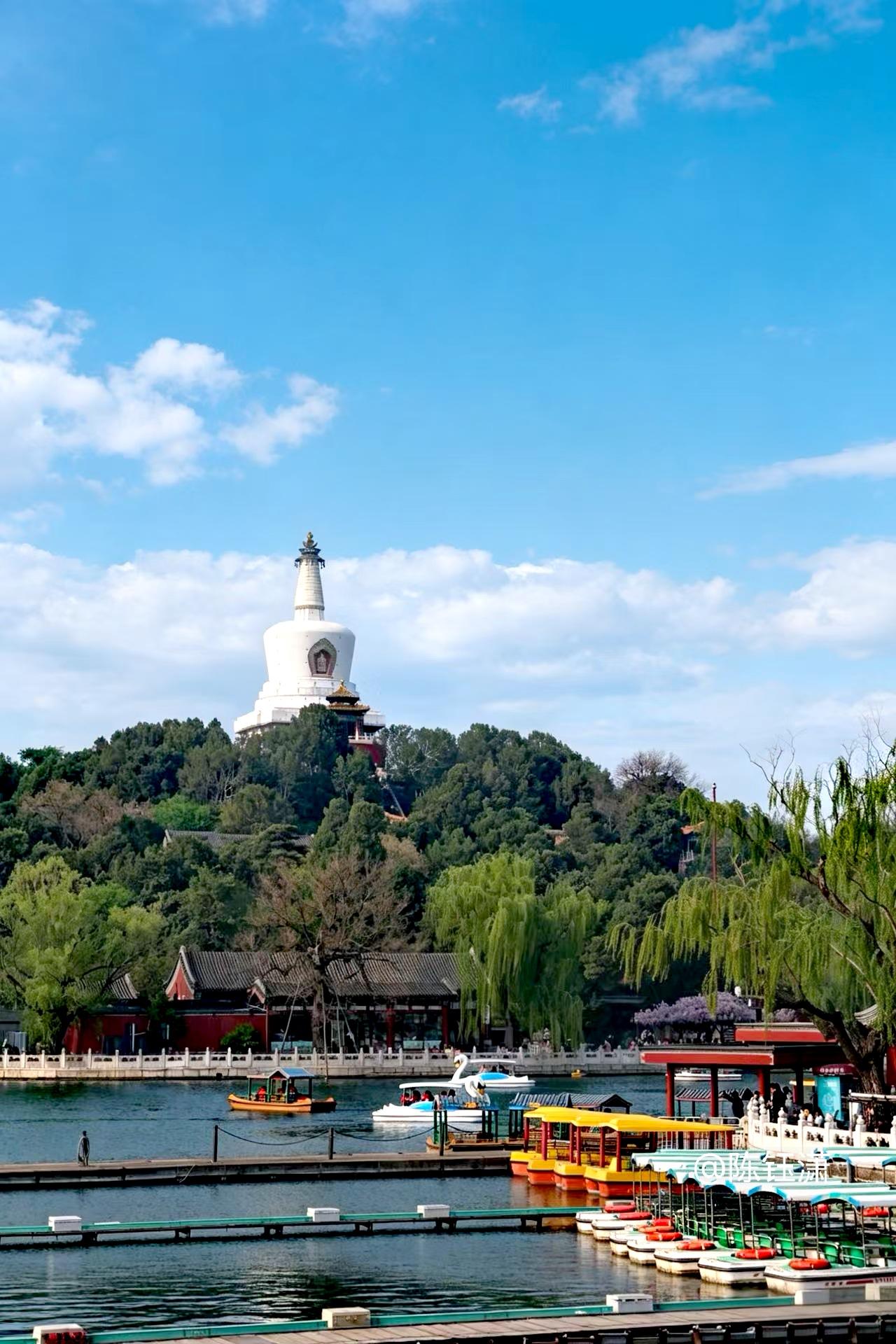 这张“北海四月天”的图片，好在哪里？

昨天京城的陈女士给我发了一张她拍的图片，