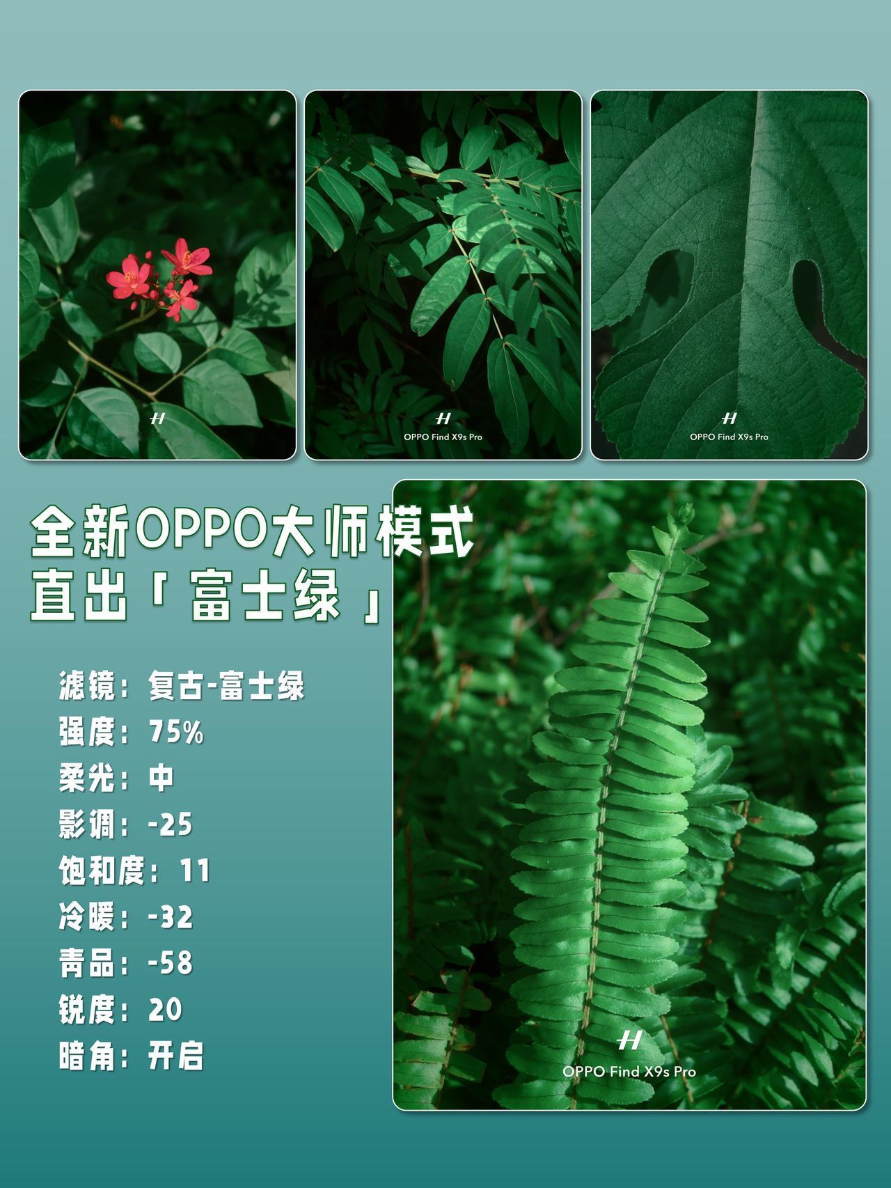 五一假期拍富士绿，其实有✋🏻就会
以前总觉得那种偏富士味的绿色只有相机能拍，
