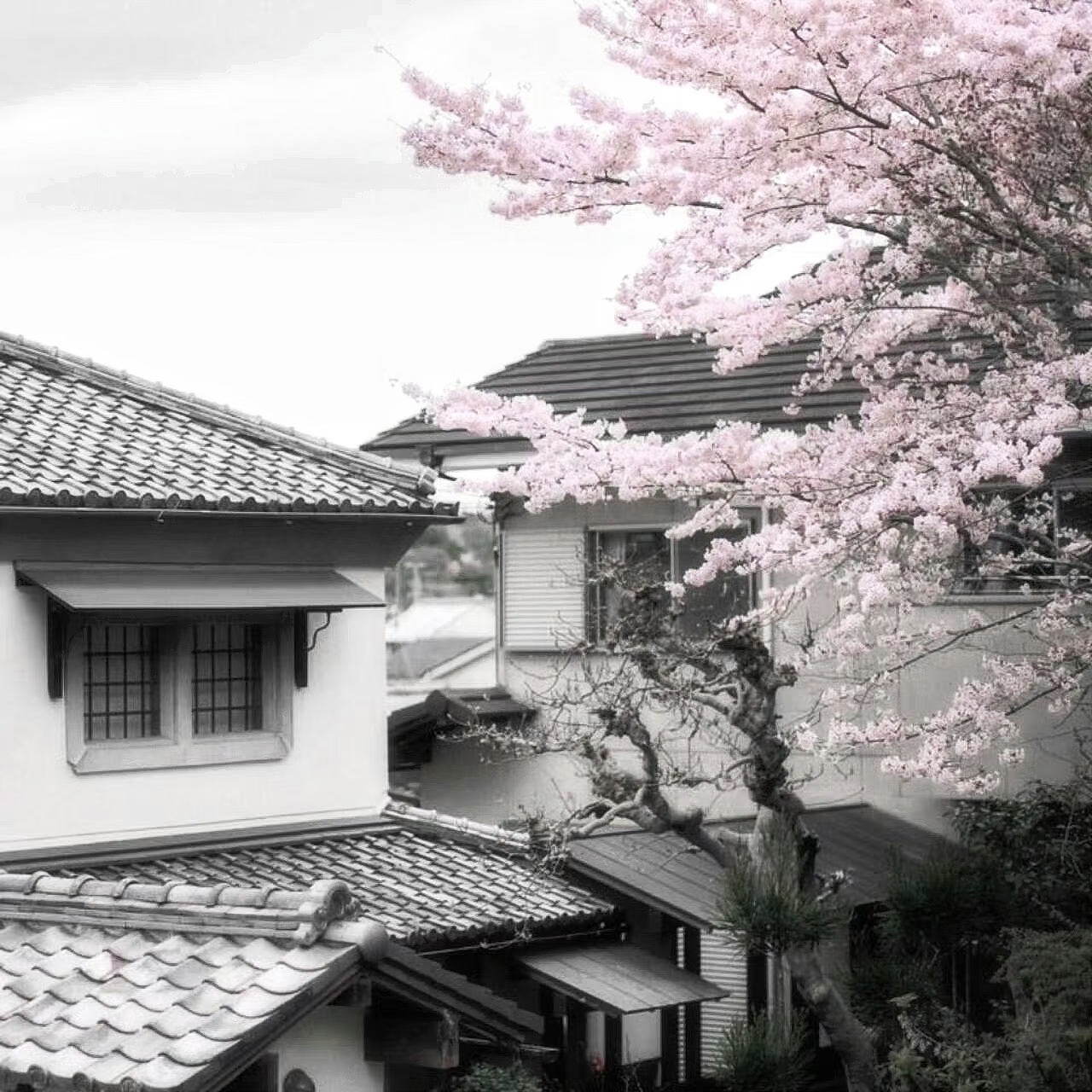 WeChat背景图｜朋友圈背景｜小众背景图｜ins风｜九宫格｜朋友圈排版｜图源网