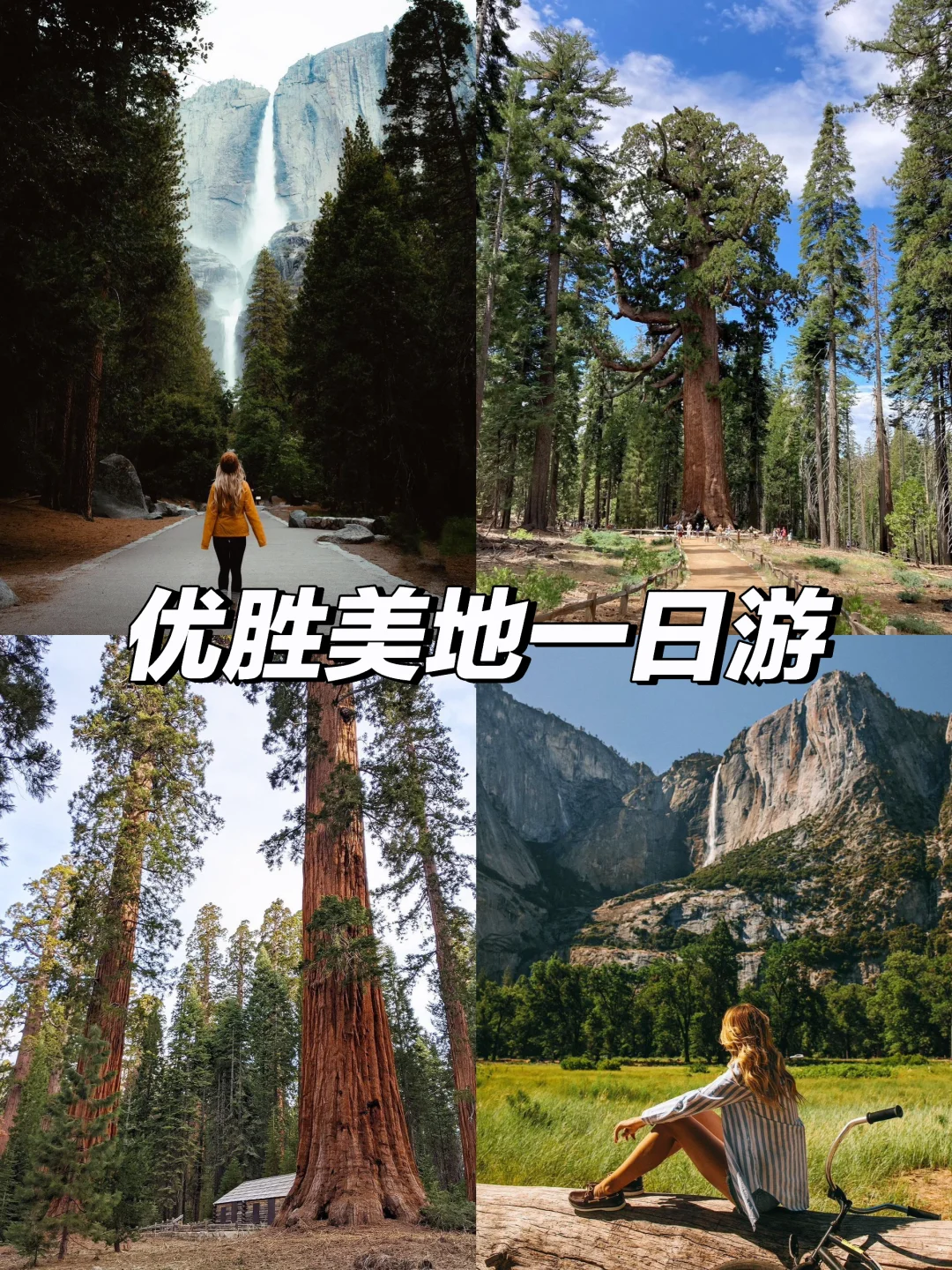 旧金山周边｜优胜美地探寻8⃣️大景点一日路线
