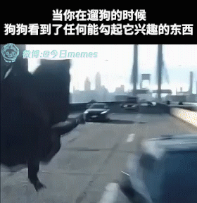 尿过的尿过的！（9gag）今日meme[超话]今日memes ​​​