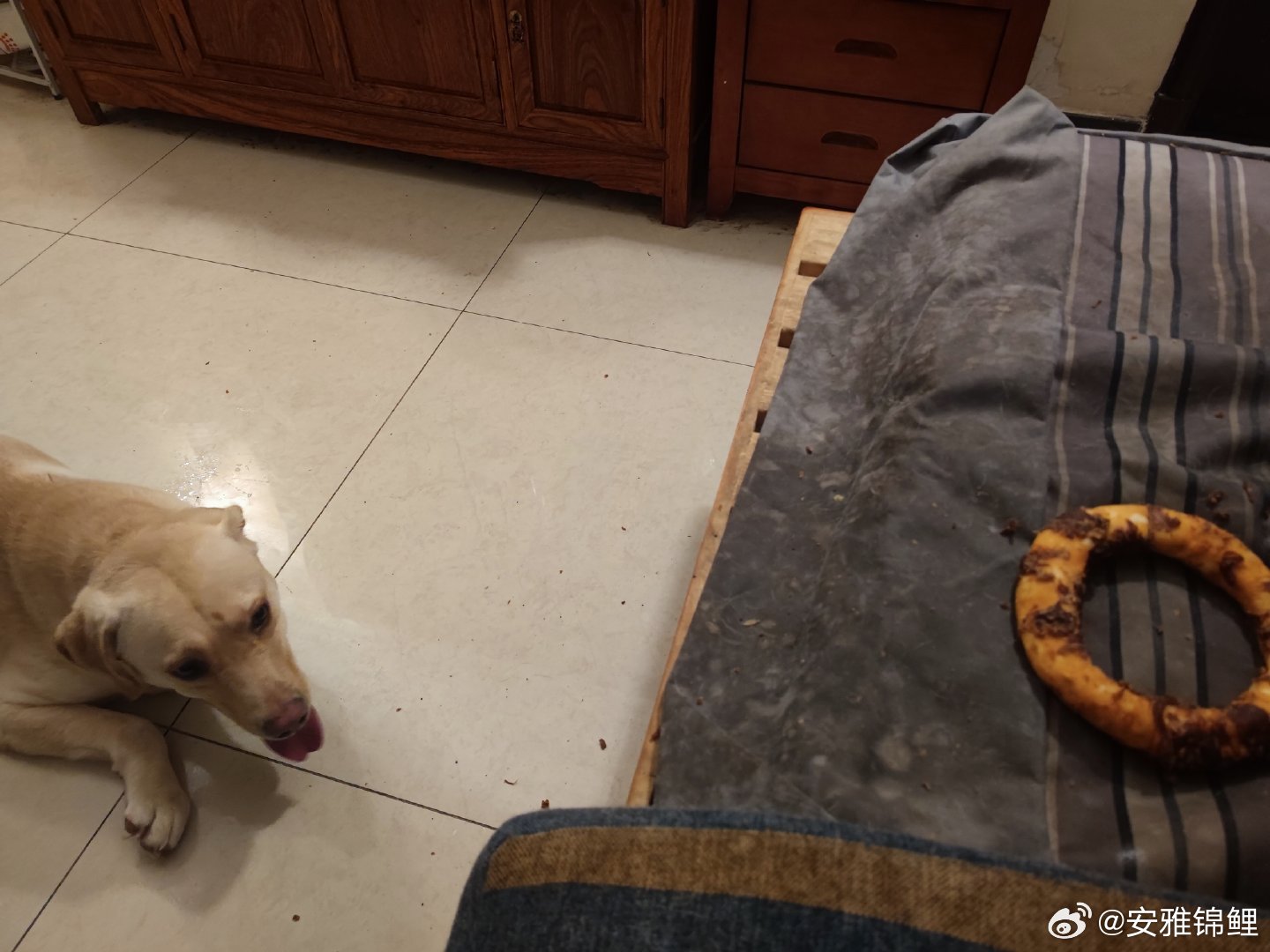 热化了，零食都啃不动了 
