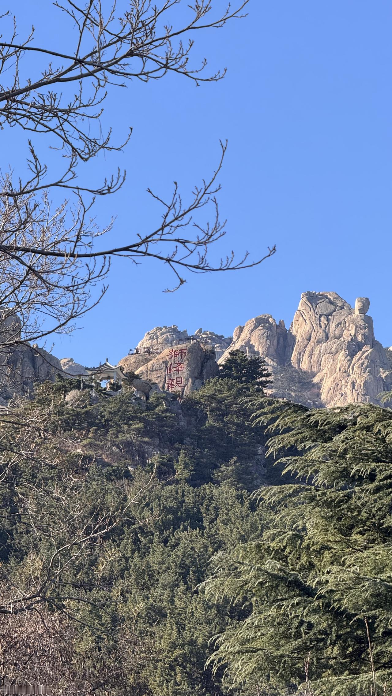 冬至安暖，在漫长的夜里，种一棵种子，期待春天的到来，愿所有的美好如期而至。