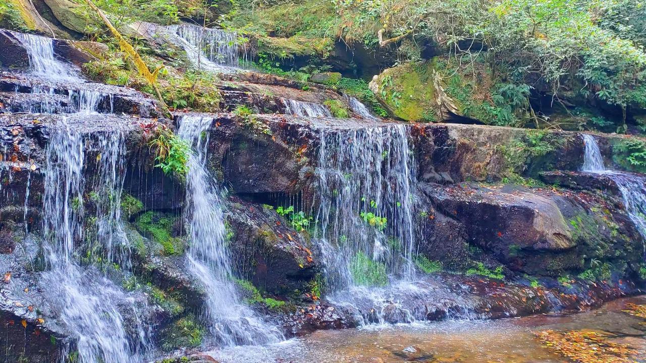 读《近思录》之2.66　

“古之学者为己”，其终至于成物；今之学者为物，其终至