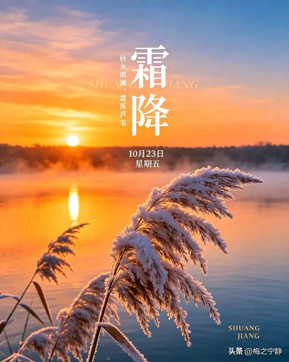 🍂²⁰²⁶/₁₀.₂₃ ᵕ̈ 霜降早安｜岁岁平安☕️🍒🍑
秋色向晚，霜降如