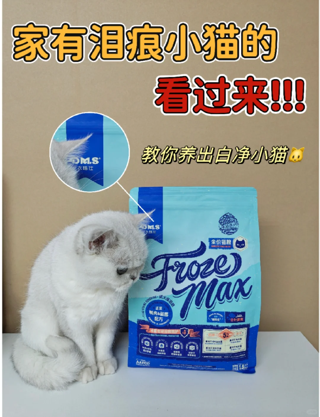 铲屎官必看！终结猫咪泪痕的宝藏猫粮