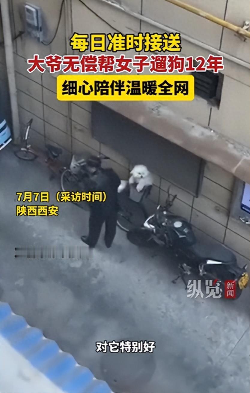 太暖心了！陕西西安，一位大爷在痛失陪伴自己多年的爱犬后，迟迟走不出低落的情绪。机