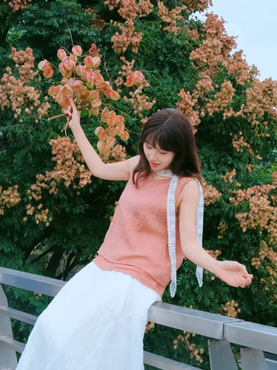 栾树，是一场盛大的秋天🍂