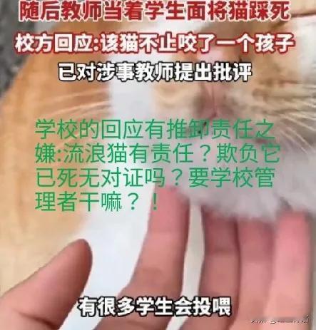 湖南邵阳县一名老师，当着学生的面踩死了一只小猫。原因是他的孩子逗猫，猫咬了他孩子
