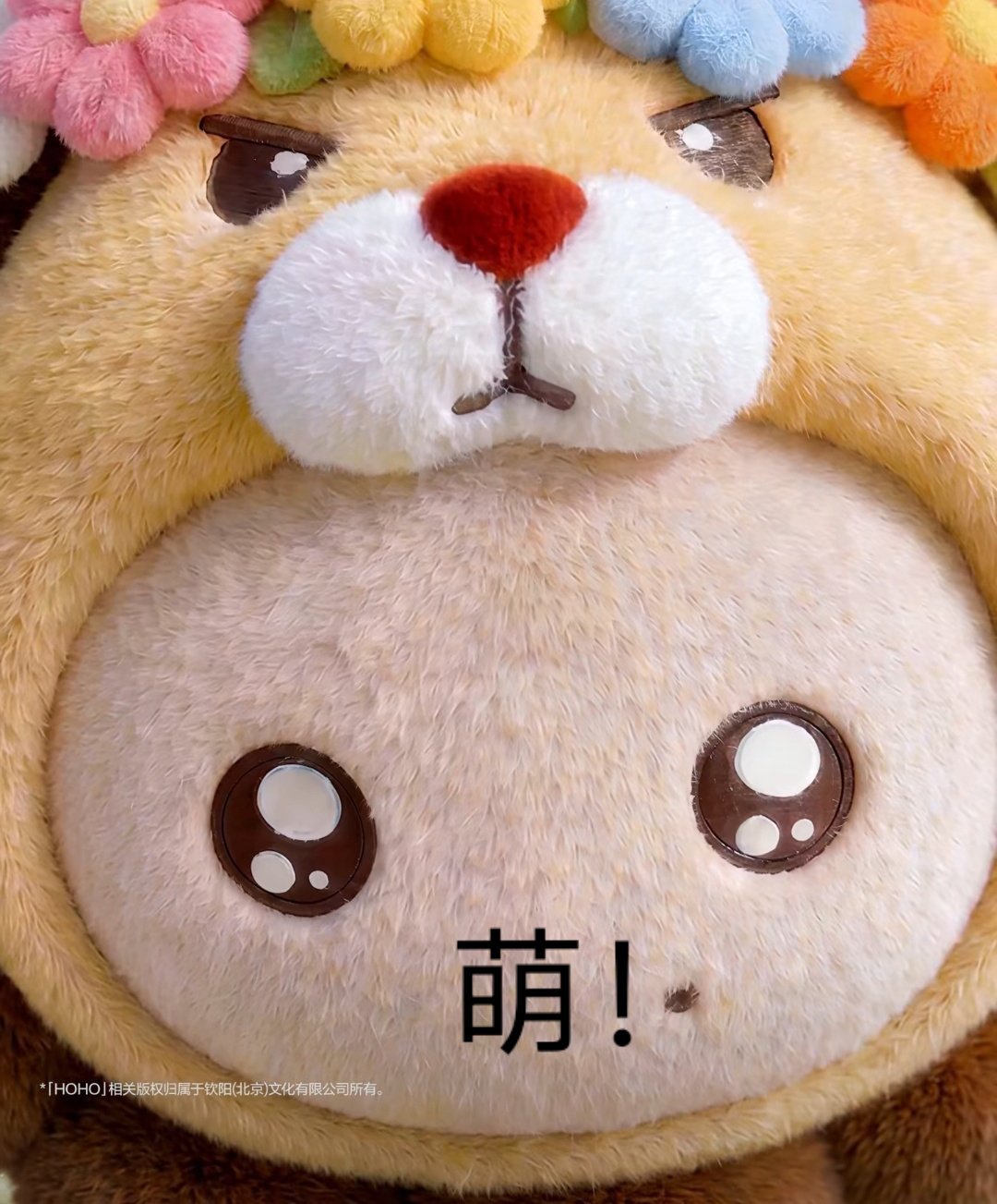 我每次看见莎头就这样啊 🥺 
