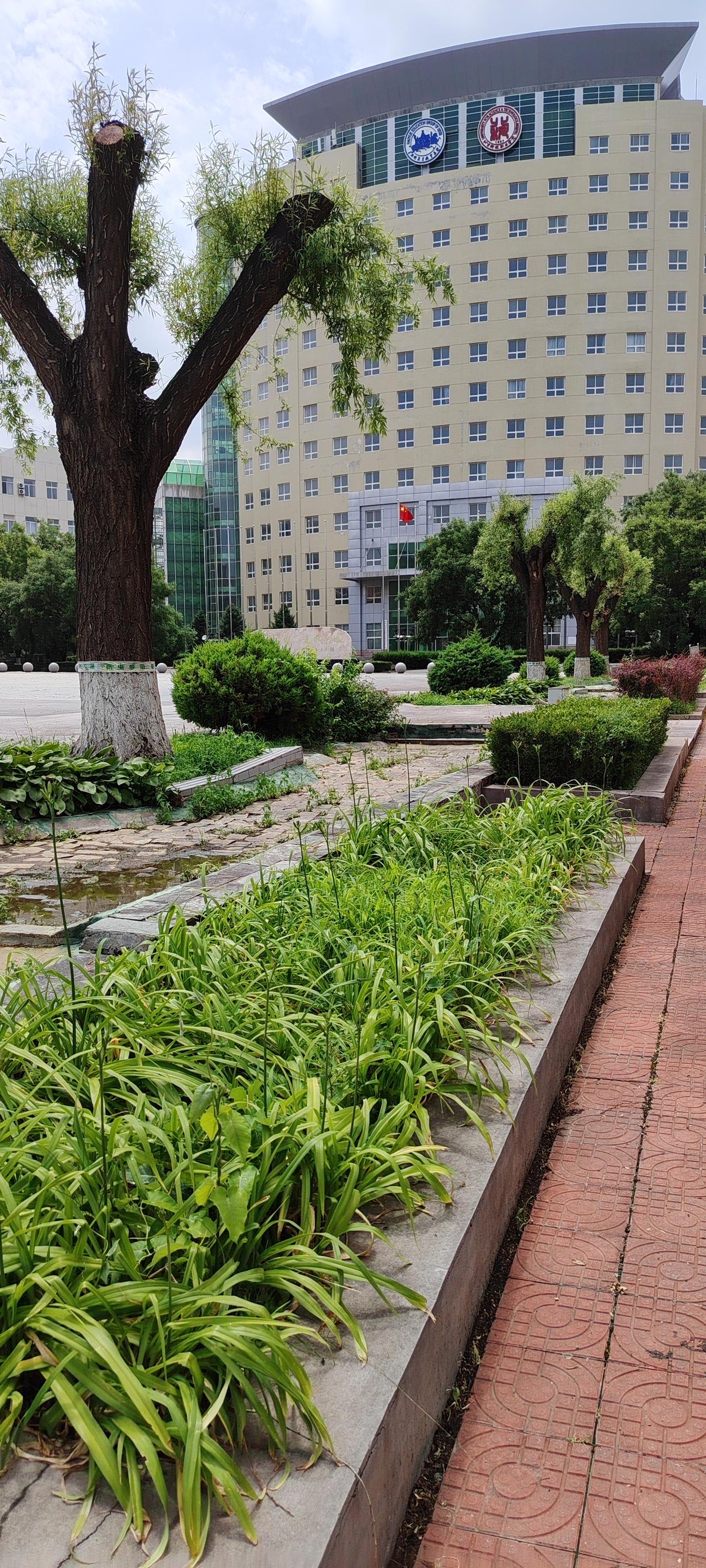 落叶归根：秋叶飘零，不怨风急，不悲命短，安然归于泥土，化作春泥护花。《道德经》言