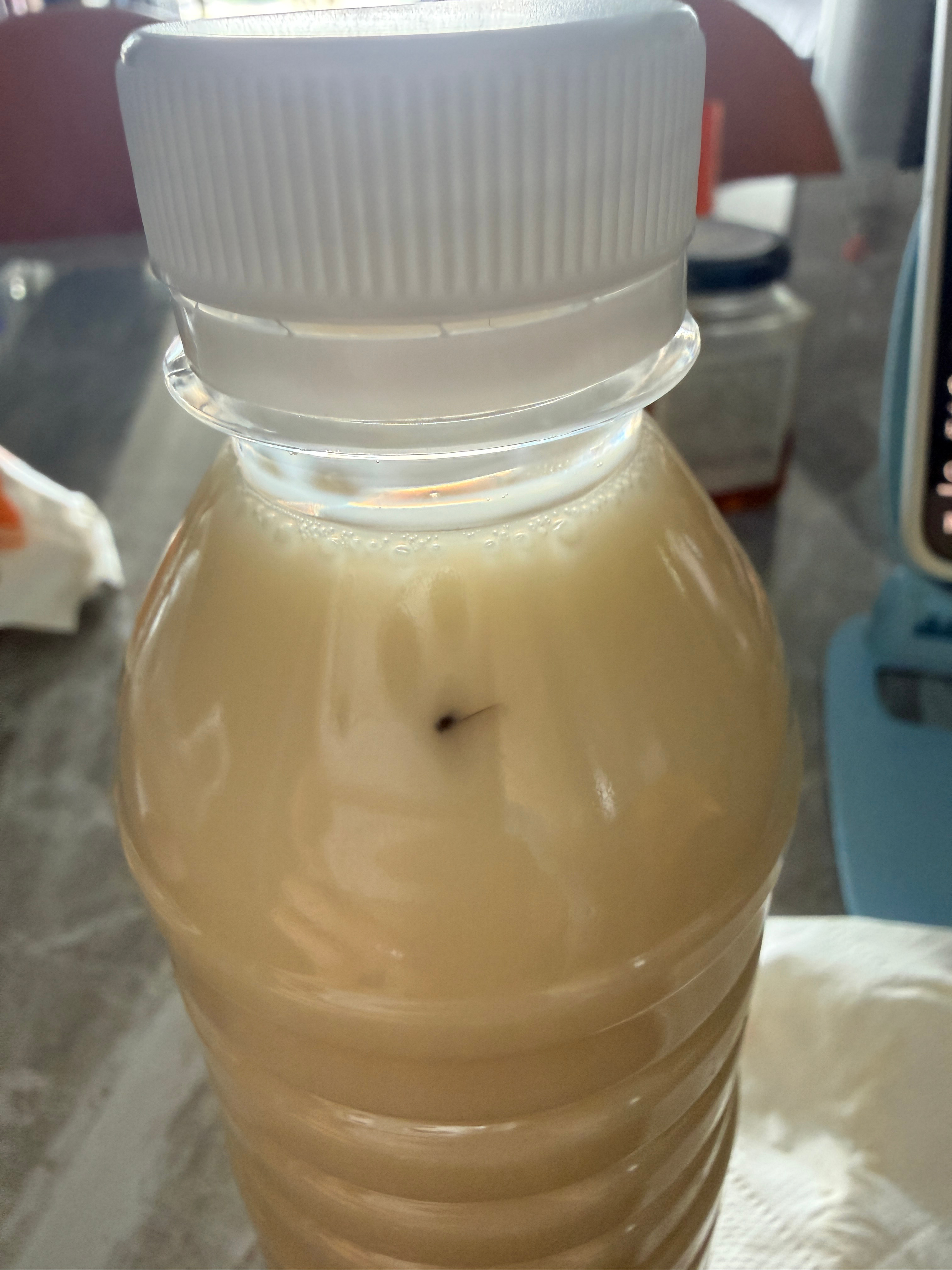 有时候真的觉得自己是素材体质，拜山被蜈蚣咬，家里有蝙蝠，现在喝个豆浆里面都有蚊子