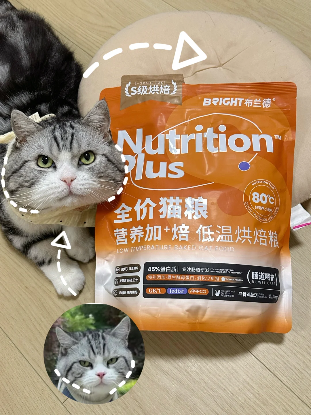 真的是同一只猫🙊养成好rua的包子脸了！！