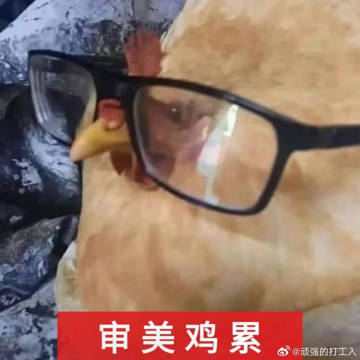 我现在拿得起放不下的只有红果短剧了，唯一不好是总是一堆未完结的在预约吃灰 ​​​