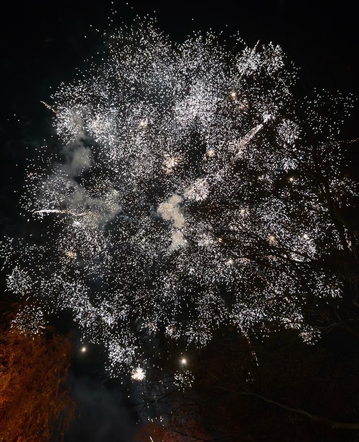 woc好爽啊，普天同庆，给刀毛看烟花开心开心🥳🥳🥳as终于做一件人事了