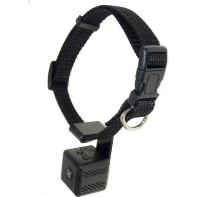 现象背后的核心驱动力：法律新规

“遛狗记录仪”在近期热卖，最直接的推动力来自2