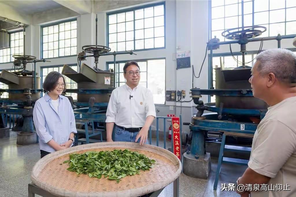“绿叶蔡”当起了“茶艺师”！

退休的蔡英文，最近相当活跃，为九合一选战，到处乱