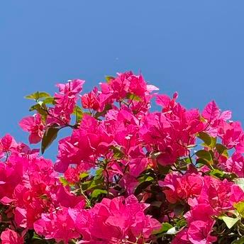 今天   成都火了一把
 
今天的成都，和煦的微风吹拂着大地，就像歌曲《成都》火