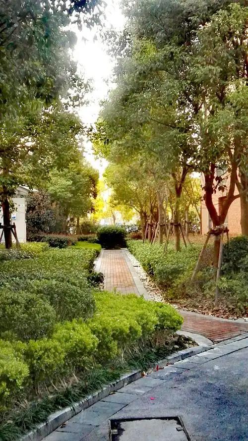 晒出你的本地生活